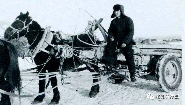 北大荒知青生活叙事诗——北大荒“游击词”100篇