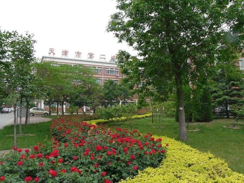 天津与河北哪个高中教育更好,天津河东区和河北区哪个教育好