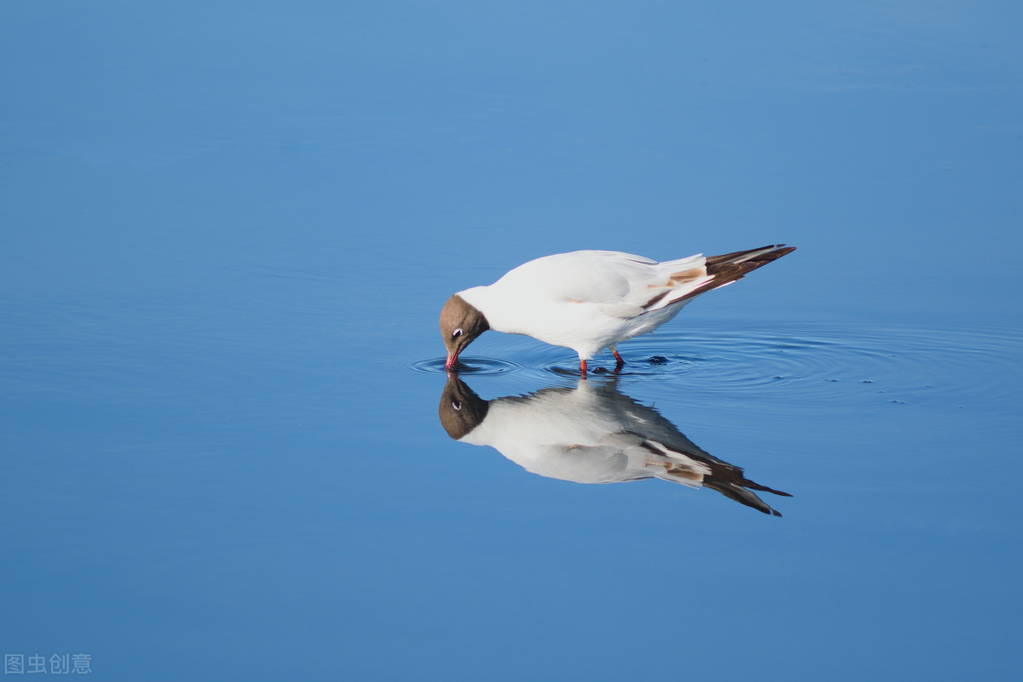 如何让5岁男孩爱上阅读,让8岁男孩爱上阅读