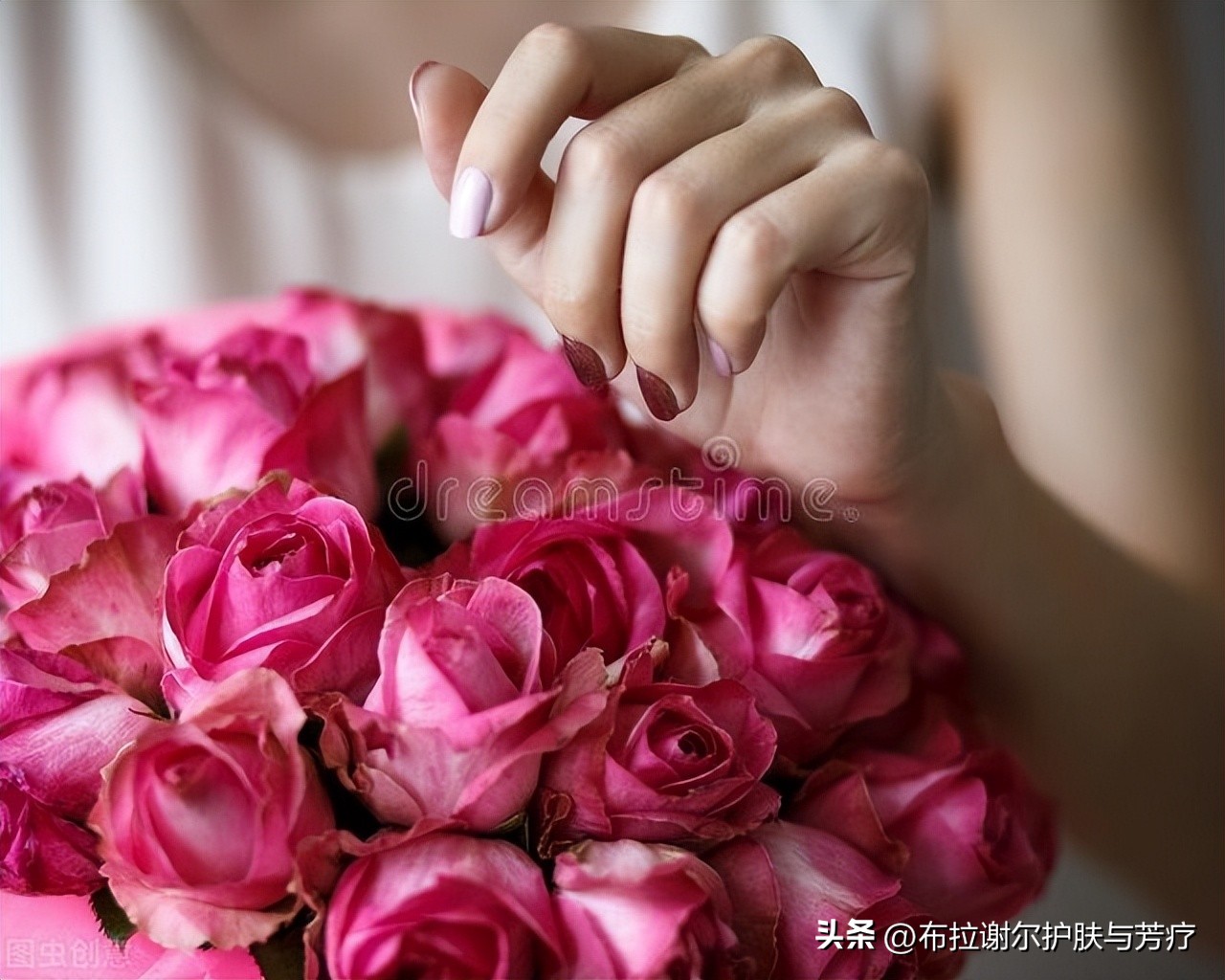 大马士革玫瑰代表意义,大马士革玫瑰味道好闻吗