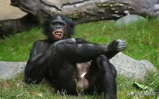 男性为什么脆弱,为什么男性那么脆弱