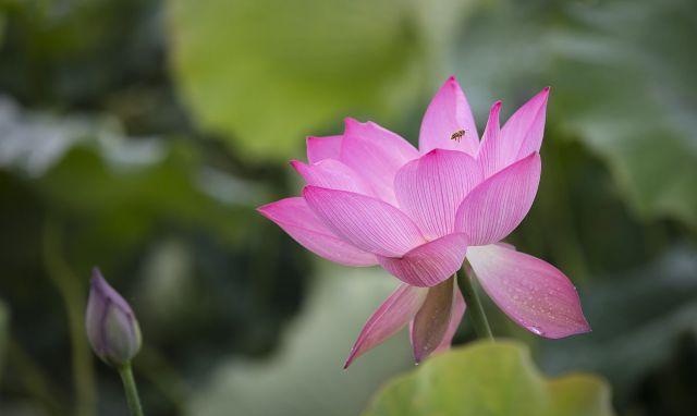 没有朋友没有社交只有自己一个人,没有朋友没有社交内心孤独怎么办