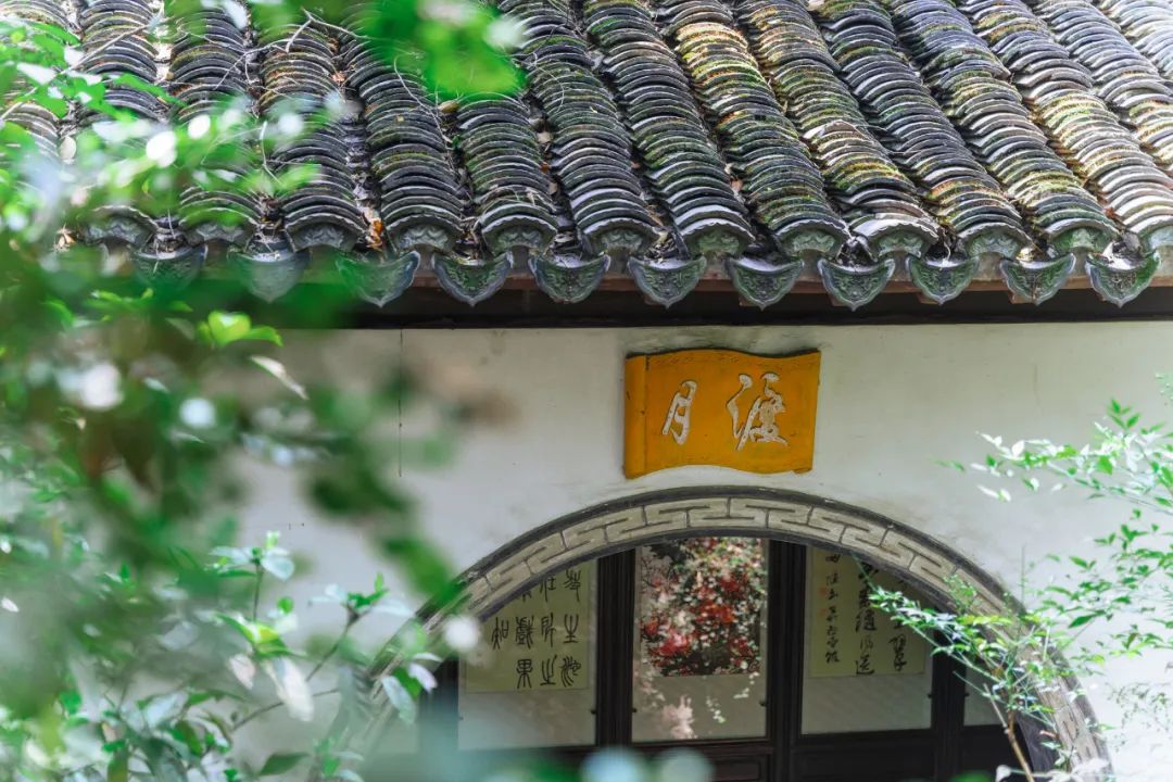 520年一遇，2022上海最浪漫打卡地出炉