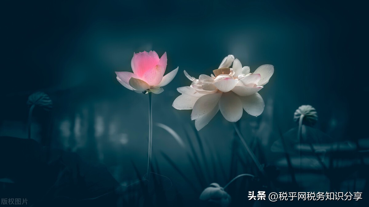 住房利息专项扣除是什么意思,住房利息扣除不得超过多长时间