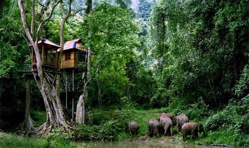 云南西双版纳旅游攻略app,云南西双版纳旅游攻略自由行12月