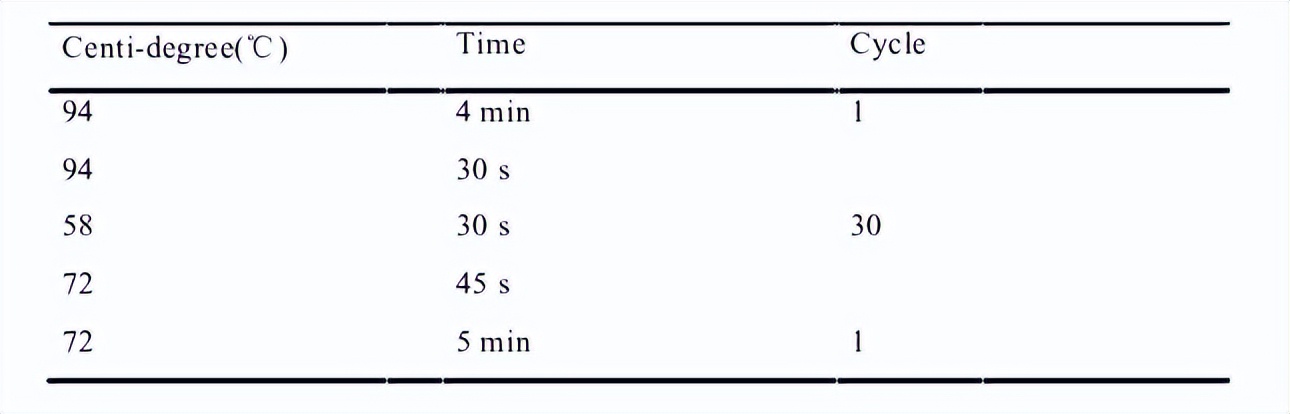 维生素d对神经系统的作用,维生素D在人体内的生理机能