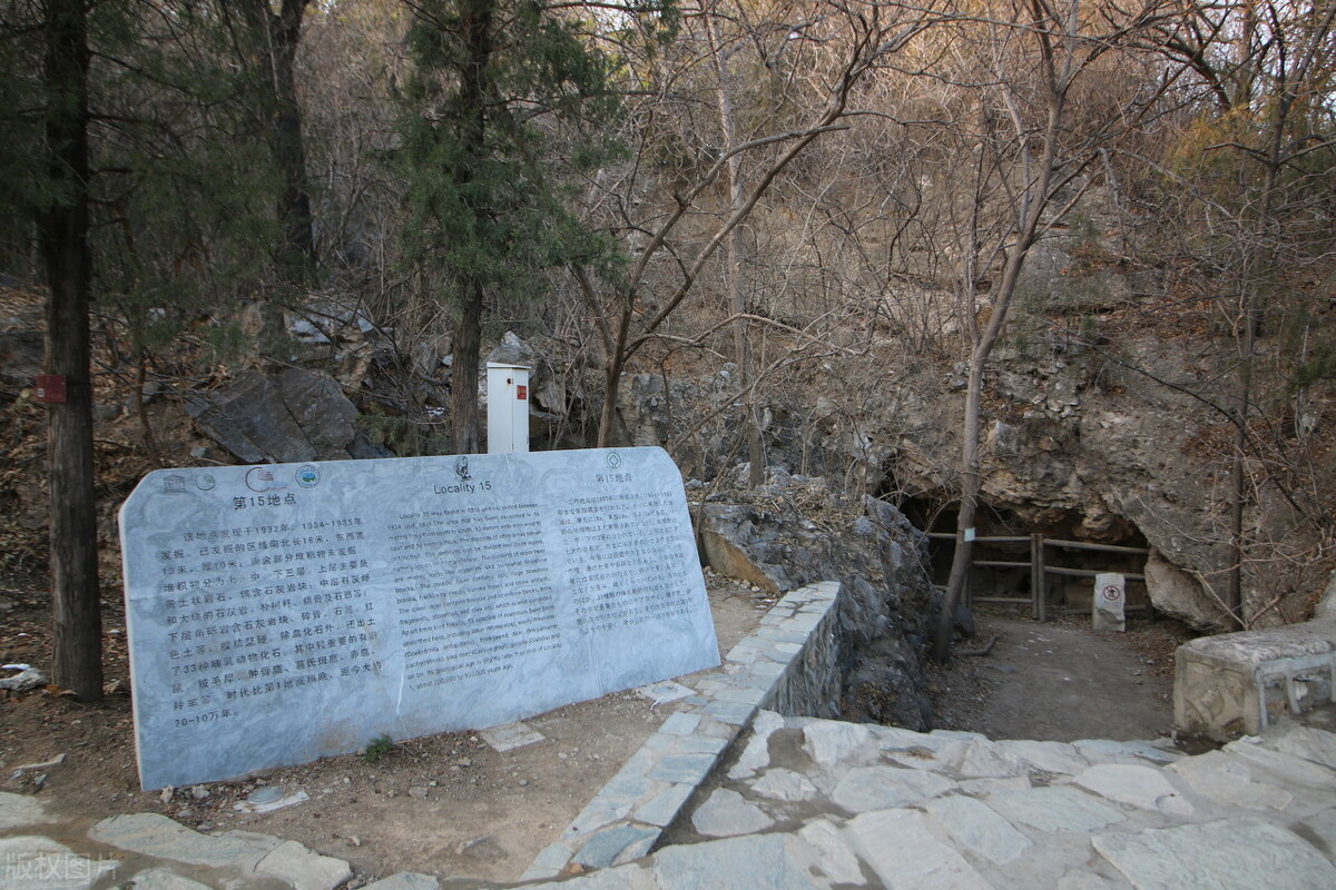 山顶洞人在世界上的地位,历史山顶洞人的样貌特征