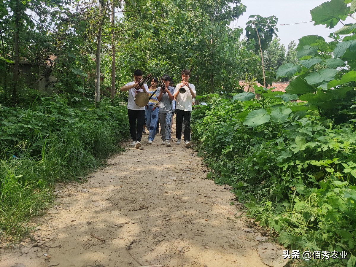 树林除杂草用什么除草剂最好,除庭院杂草用什么农药最好