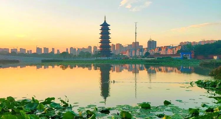 菏泽牡丹节赏花攻略,菏泽春日赏花攻略