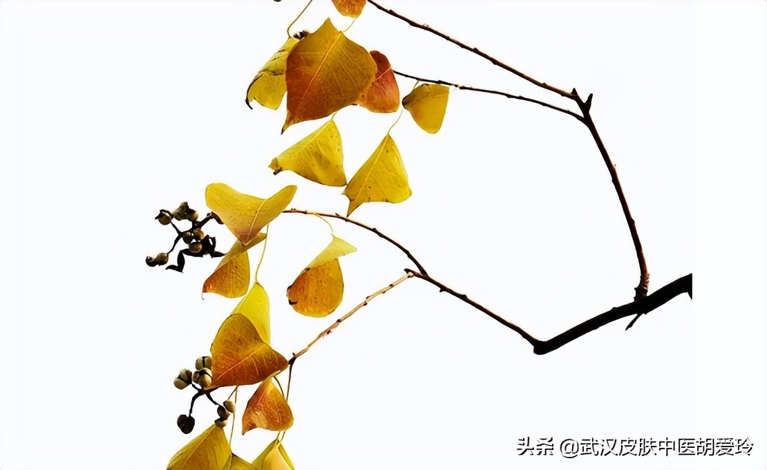 腋窝下面皮肤发红发痒,化疗导致的腋窝皮肤溃烂怎么治