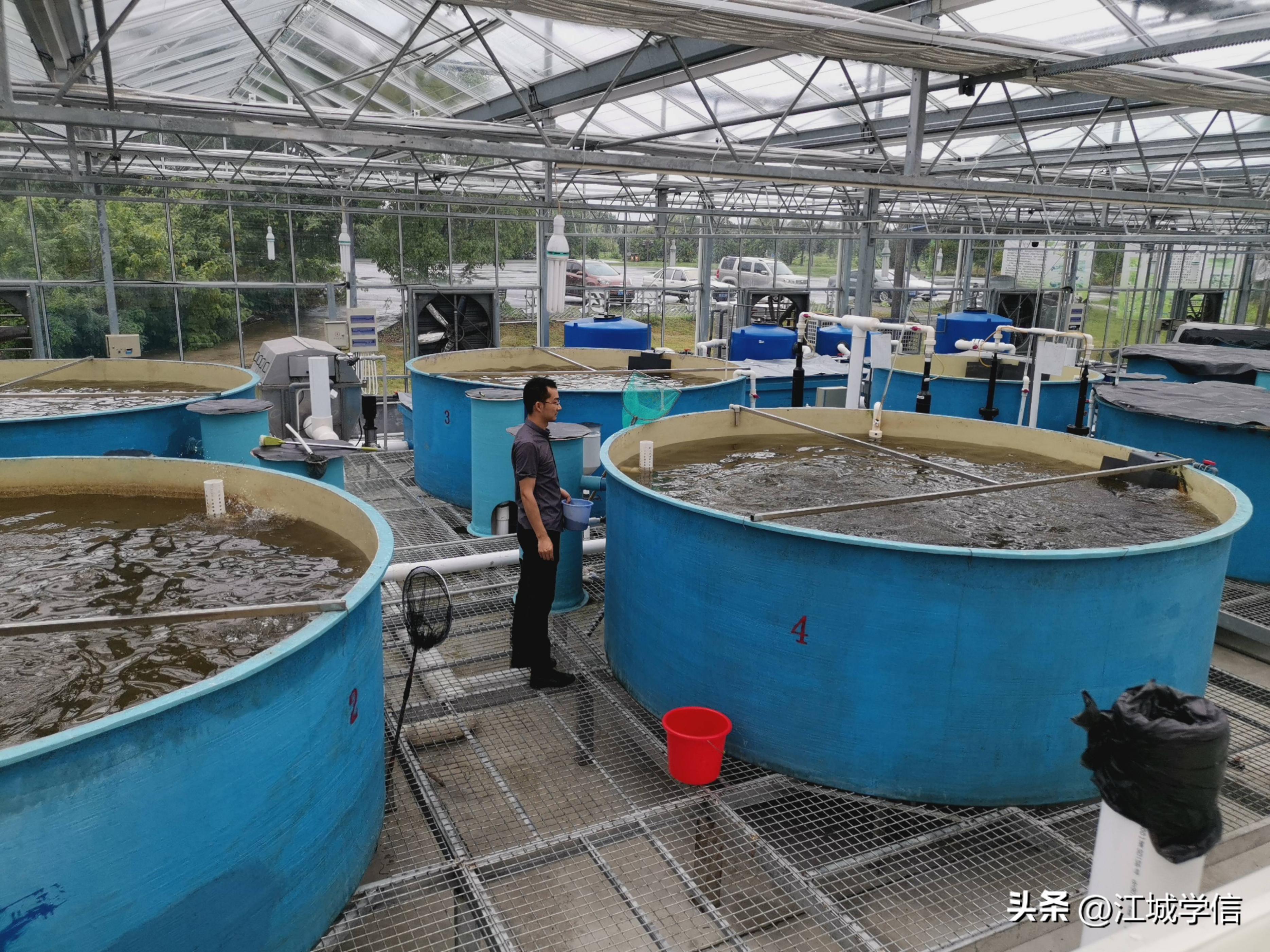 大专专业选择哪些比较好,大专专业一定要选对