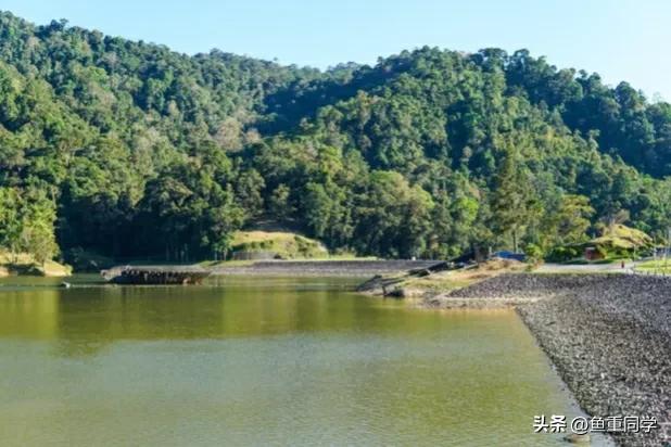 明天农历九月初十，你知道是什么日子吗？老祖宗留下的谚语怎么说