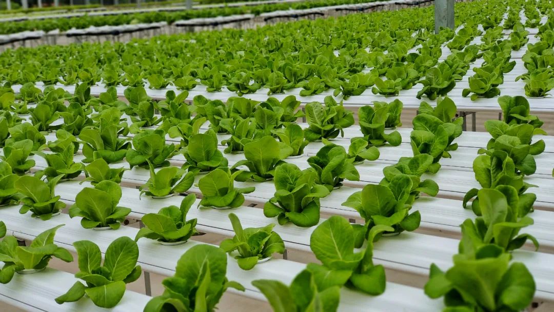 跨年去哪里看温泉,元旦去哪便宜泡温泉