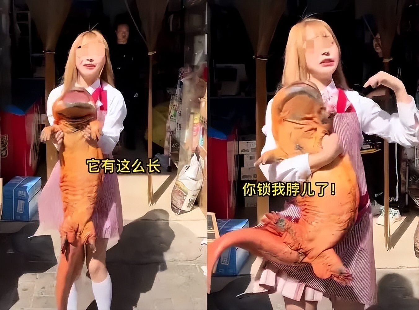 为博眼球三观尽毁的网红主播,别把无知当幽默下一句