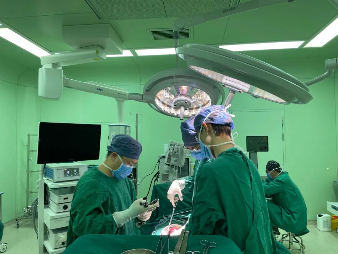 老人顽固性腹胀,老年因肿瘤引起的肠梗阻怎么办