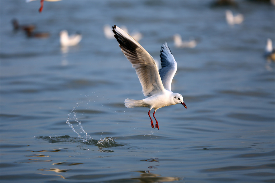 工作与上司发生矛盾怎么处理,当你和上司发生冲突该如何处理