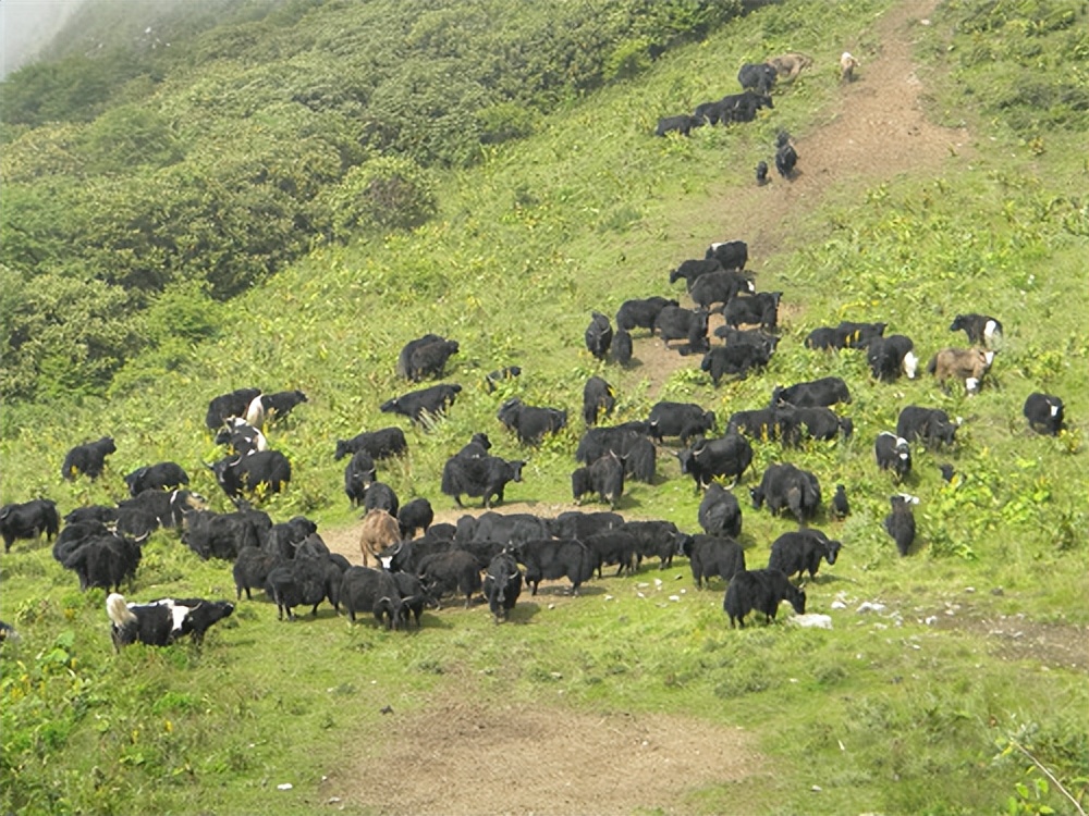 最美宝兴,宝兴第二批旅游名县