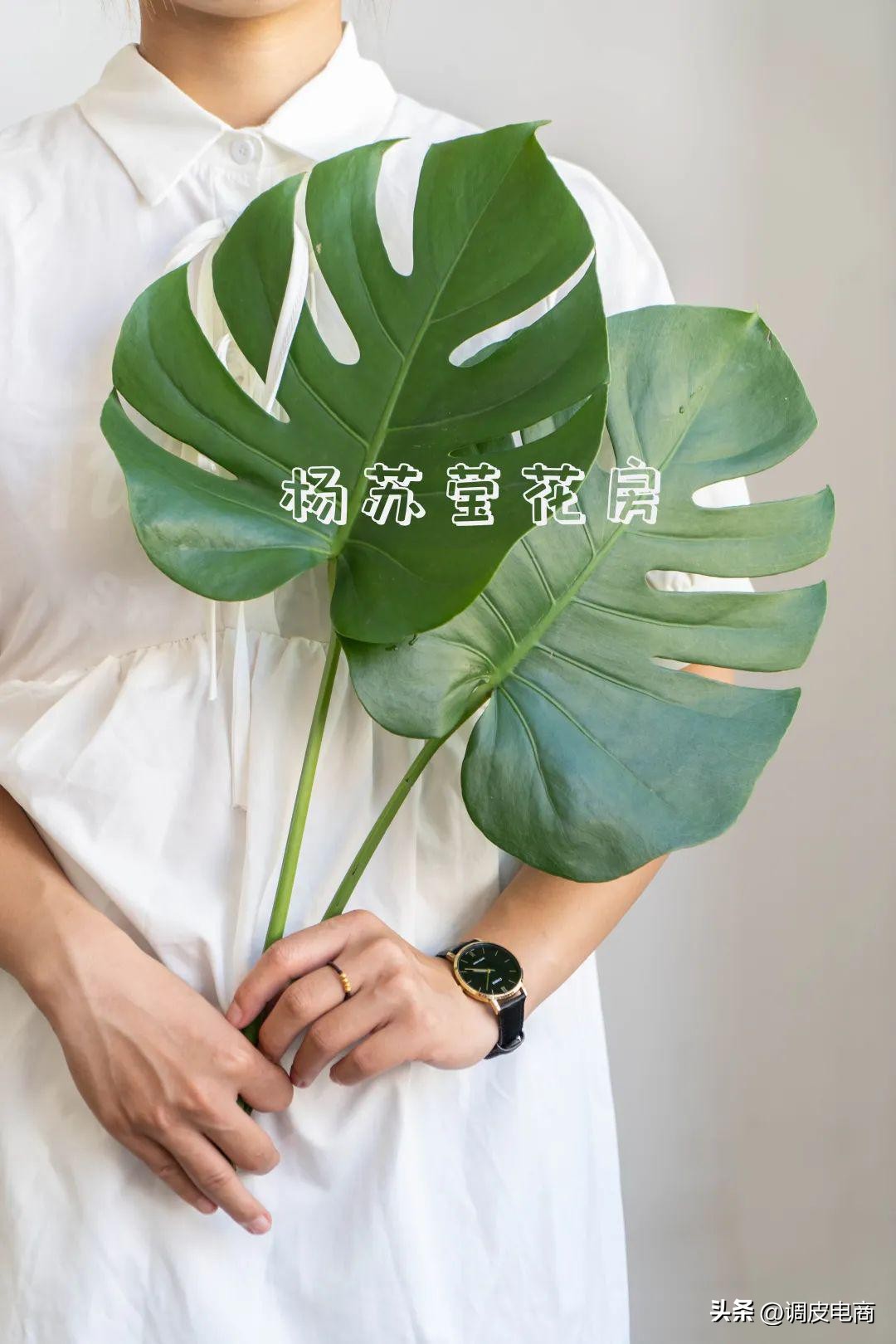 从小白到文艺花商，这个一米八大汉成为昆明斗南最懂花的主播