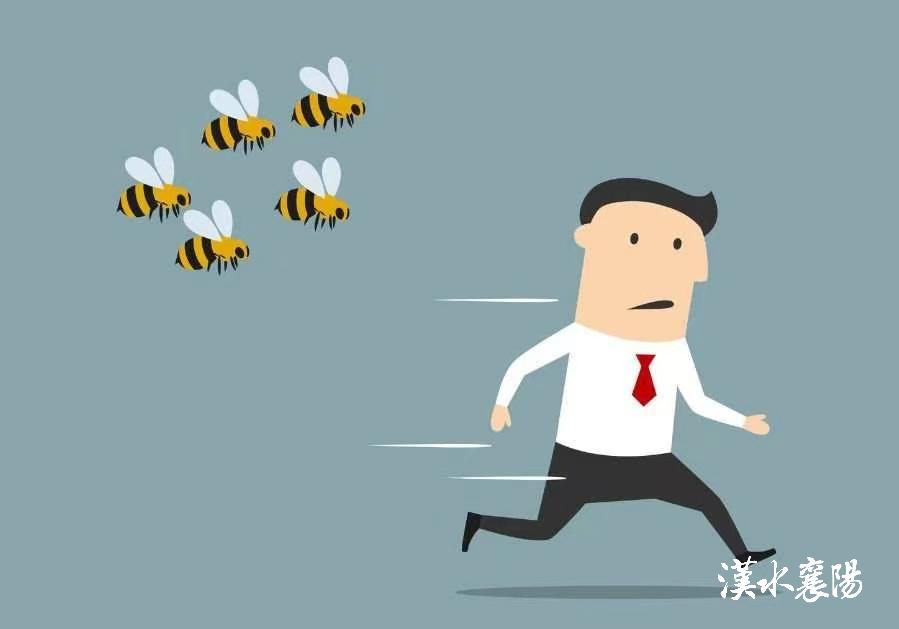 被蜂蜇伤后的4个自救方法,被黄蜂蛰伤应第一时间怎么处理