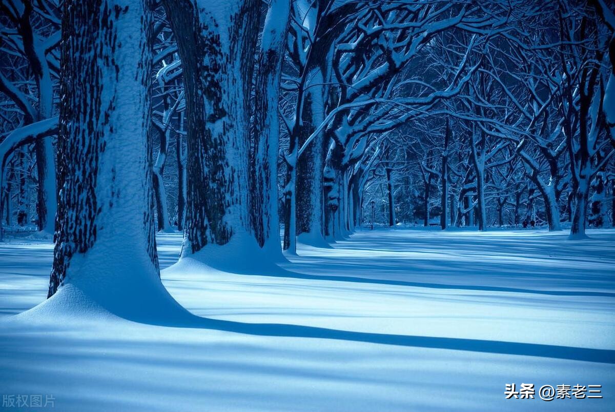 我退休金8000,我退休金5000