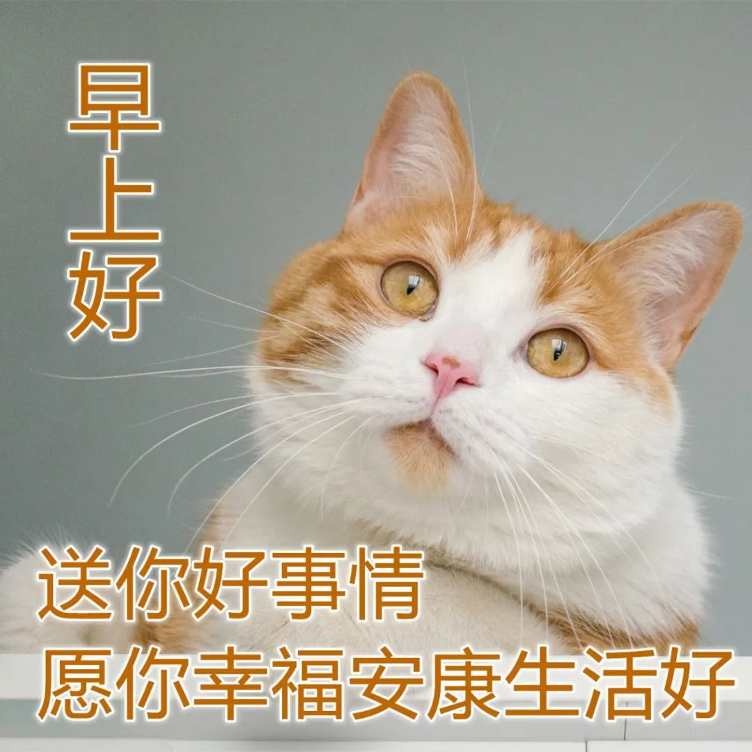 冬天早上祝福语最温馨的话图片,冬天早晨祝福语图片大全