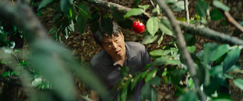 韩国“悬疑女王”千禹熙新片《虽然只是弄丢了手机》高能反转*片爽**