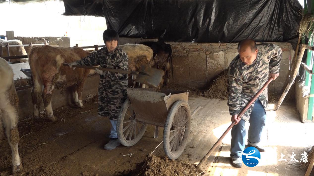 返乡创业当新农人,返乡当牛倌带着牧民共致富