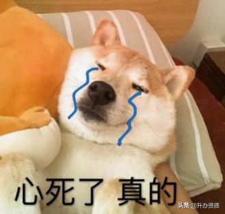 中交集团特级资质,中交特级资质