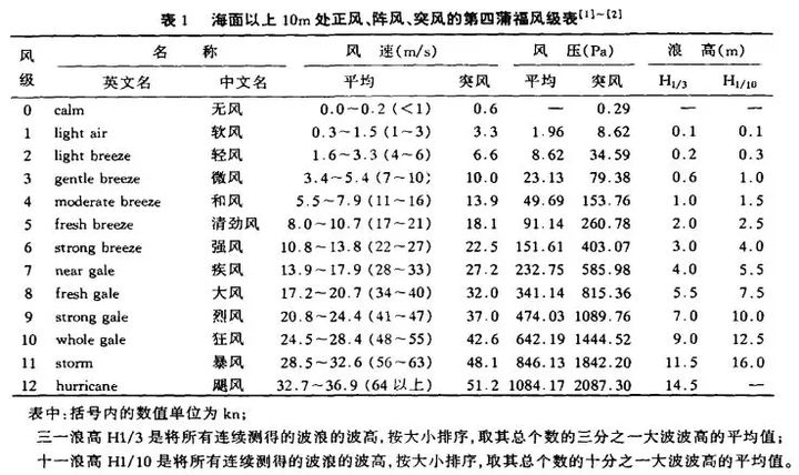 疯狗浪海洋巨兽,疯狗浪冲击沙滩视频