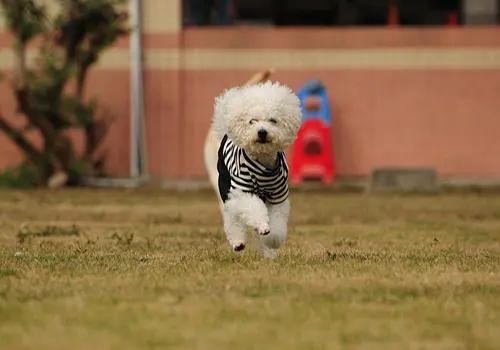 经期需要用护理液洗吗,经期护理知识