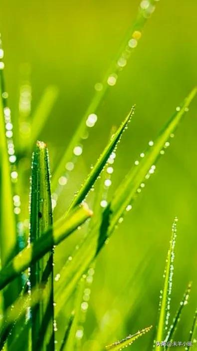 最美的手机壁纸大全,养眼养心的壁纸