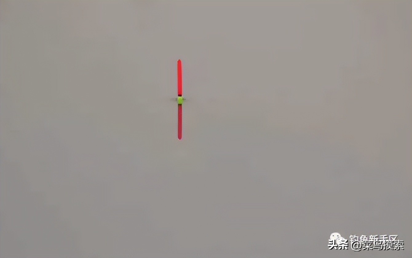 鱼漂的调法图解视频,鱼漂的调法图解初学