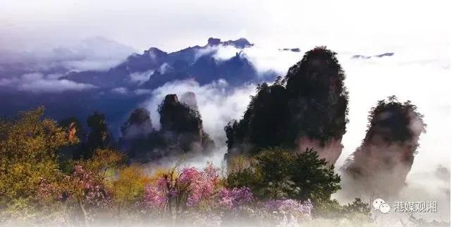 仙境张家界惊艳全世界,张家界的峰林峡谷仙境