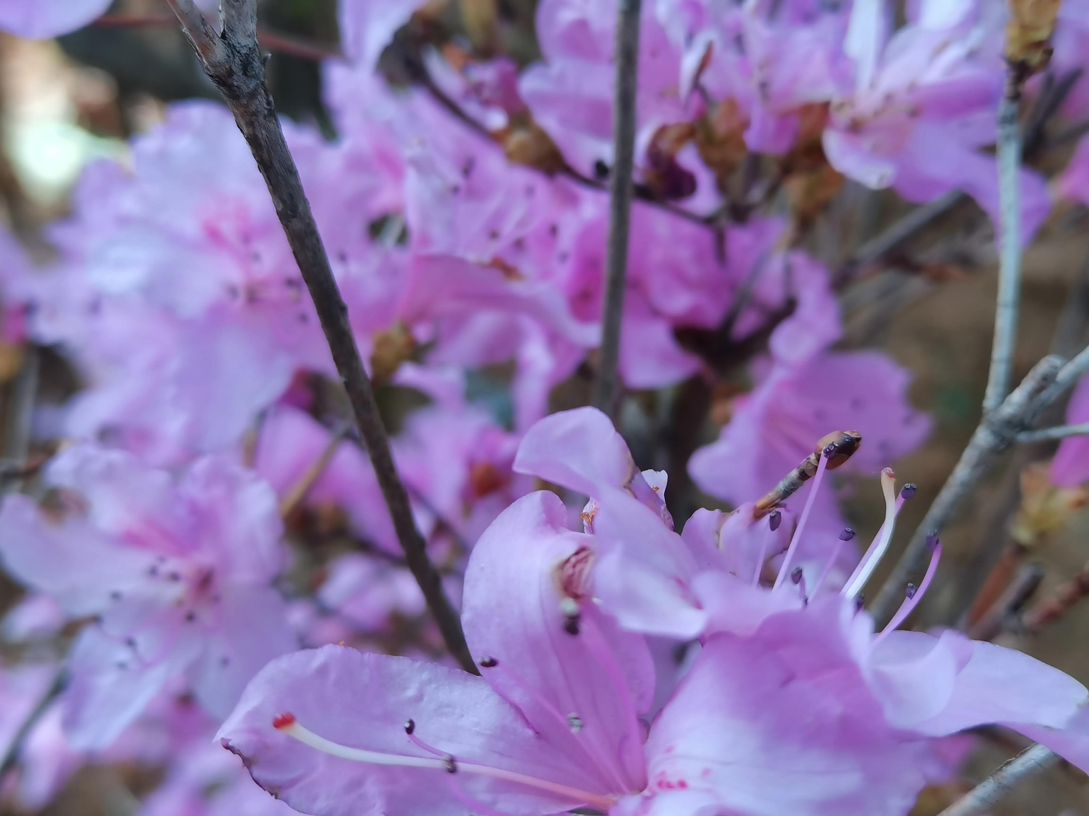 汝阳县行政村名（社区）你知道几个