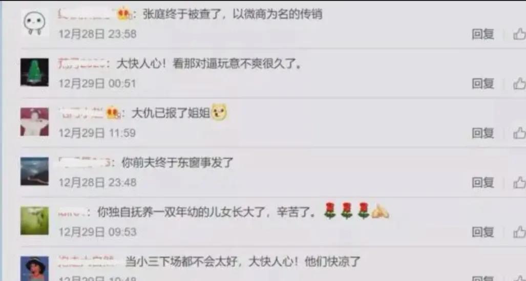 张庭林瑞阳被认定传销,张庭涉嫌传销被查处热评