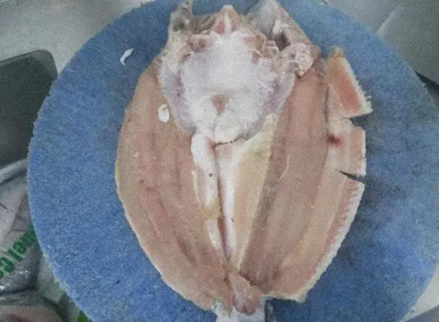 合肥半天妖烤鱼最新消息,官方调查合肥半天妖烤鱼