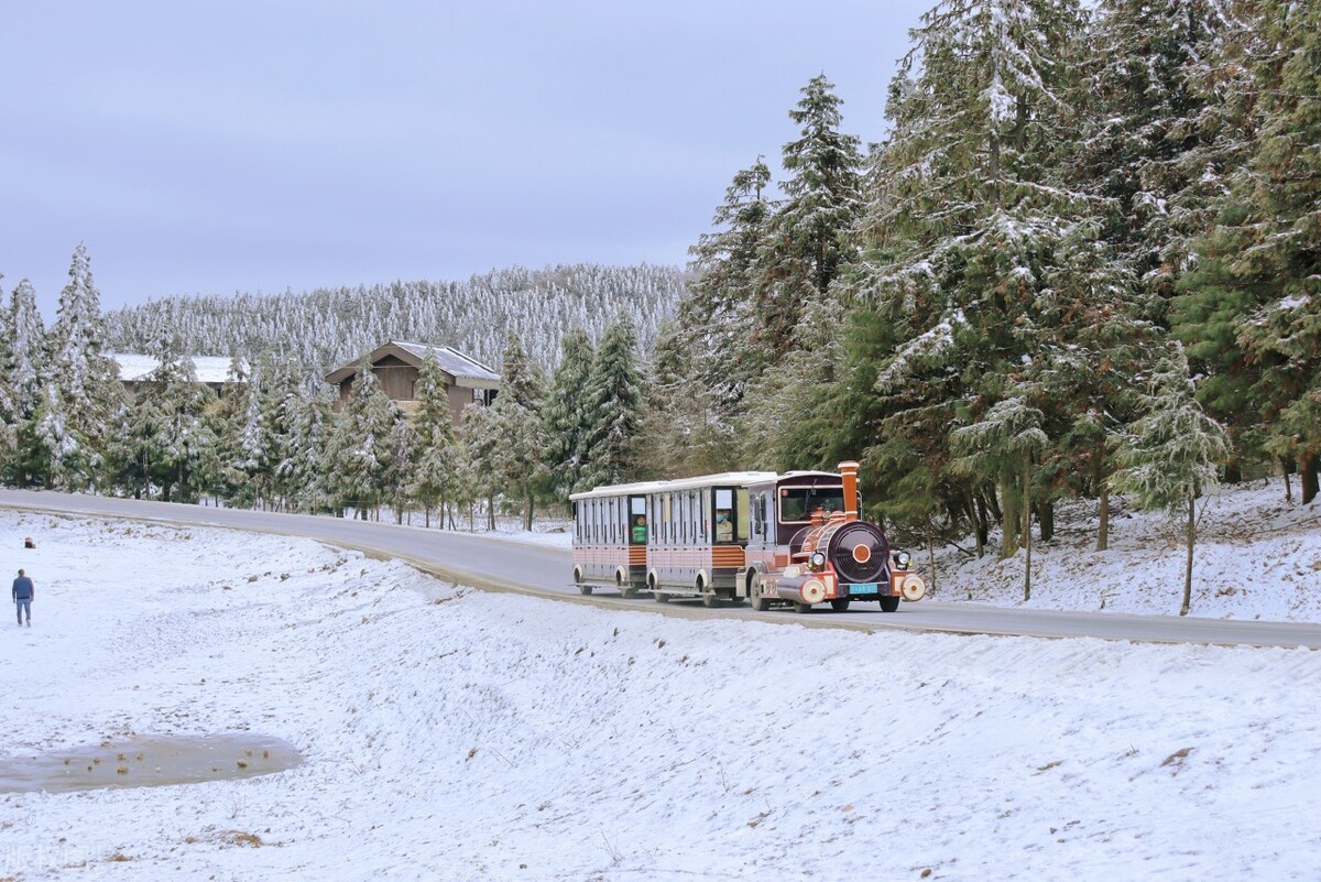 冬日武隆攻略，重庆武隆仙女山冬季二日游攻略-时间、门票及路线