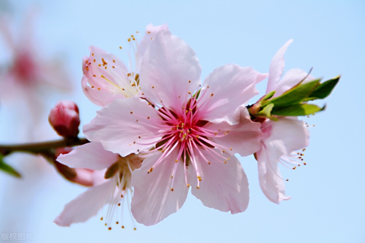 男人征服女人，好用的三种手段