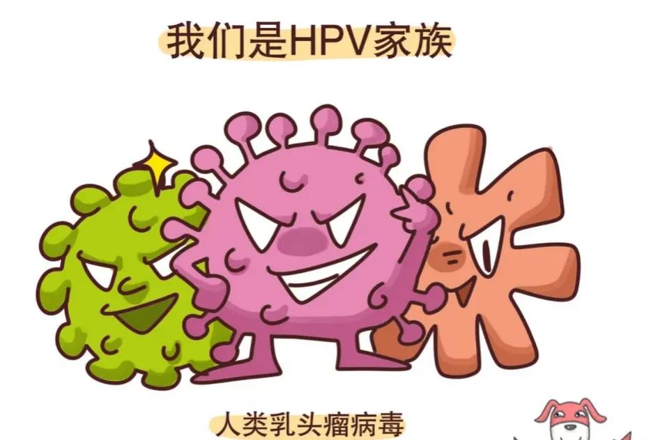 女人需要打的抗癌疫苗,女性防癌疫苗4价9价价格区别