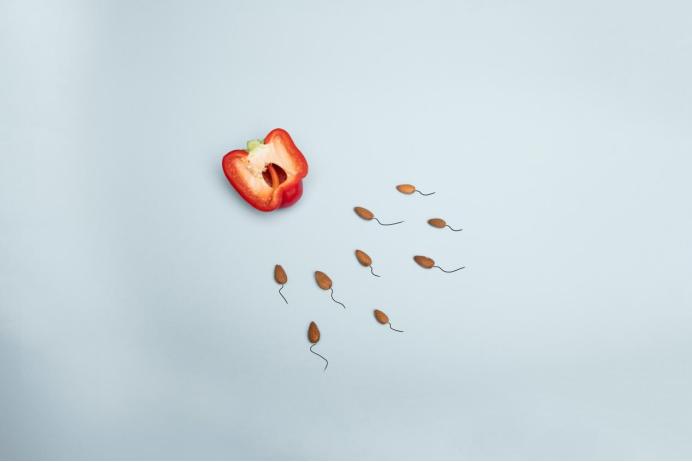 中药有治好卵巢早衰的吗,卵巢早衰有什么症状能治愈吗