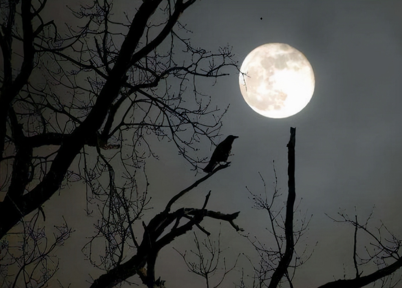 75首古诗中描写月亮的诗句有哪些,李白写的与月亮有关的诗有多少首