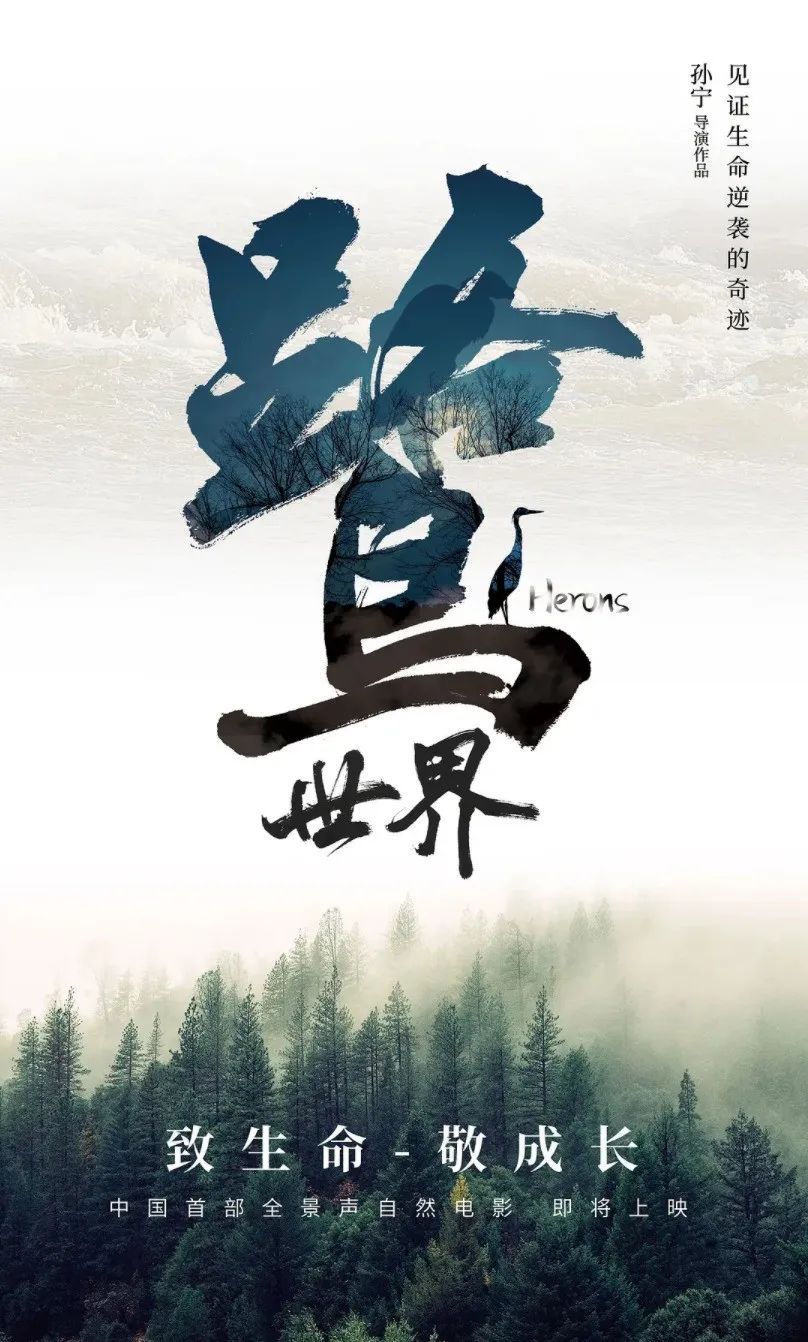 教育部向小学生推荐的影片有哪些,教育部推荐全国中小学的抗战影片