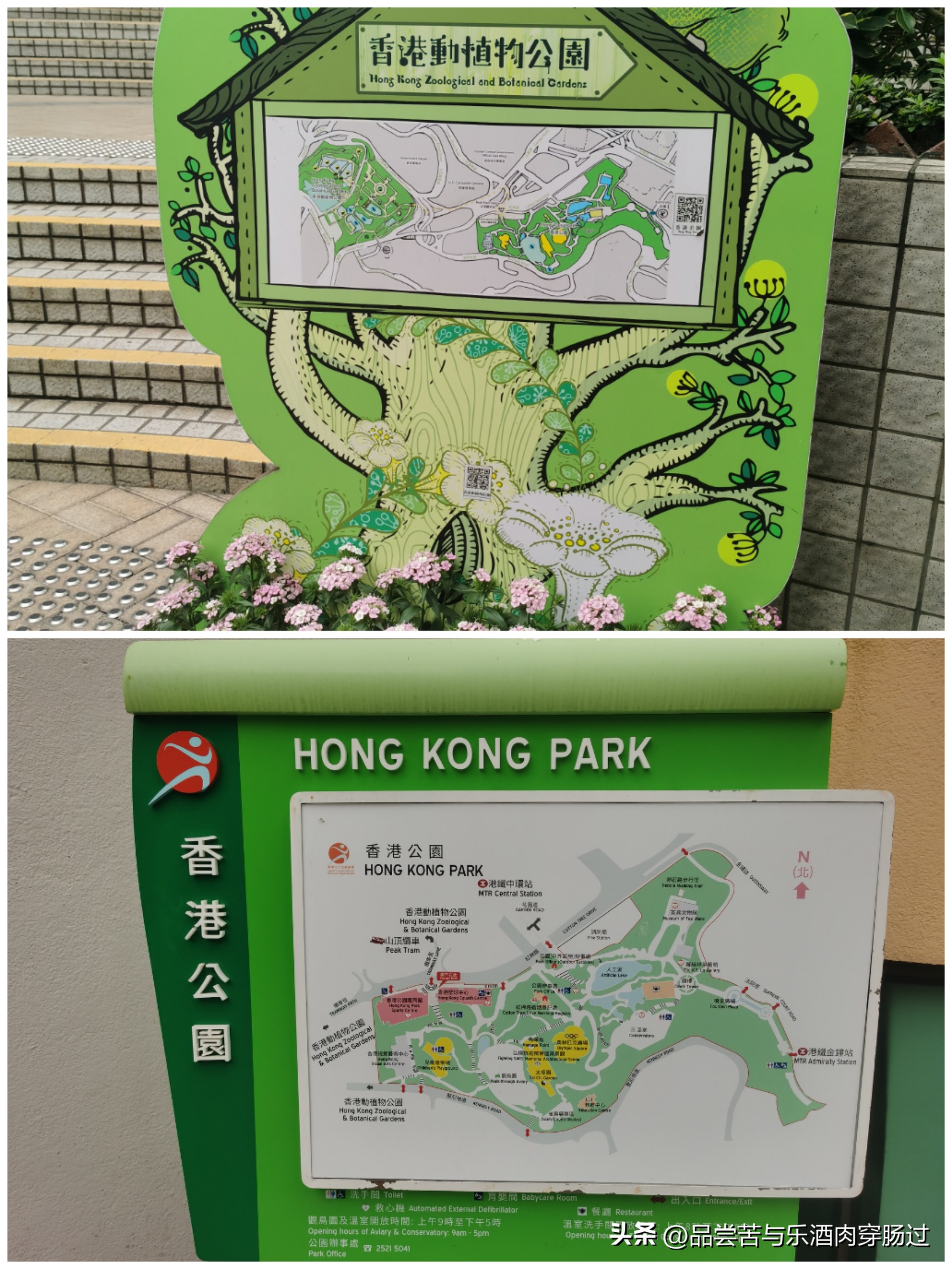香港九龙广场旅游攻略,香港旺角自由行旅游攻略