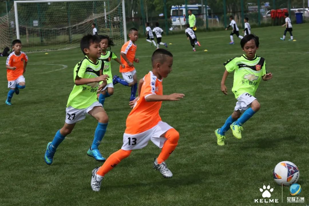 聚焦2023全国两会提案,聚焦2024年全国两会投票阶段