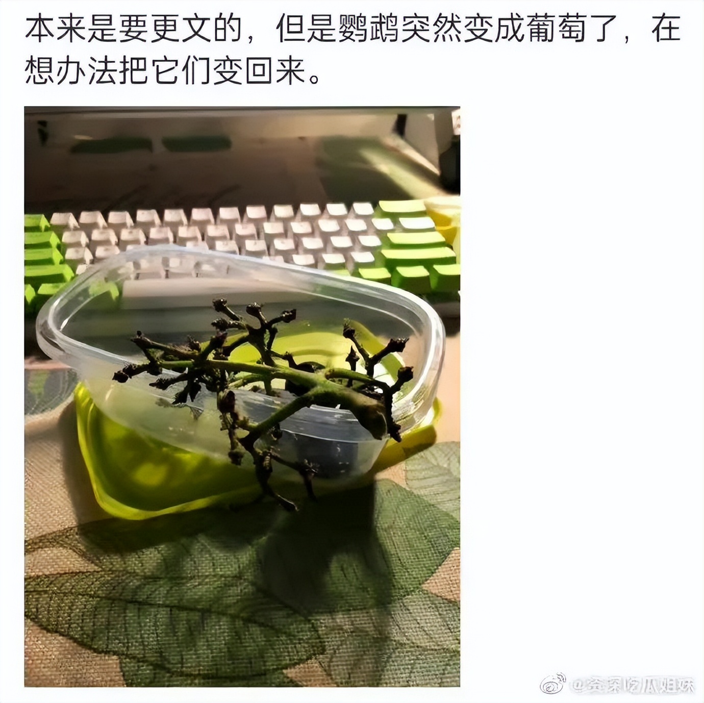 网文作者被爆马甲,网文作者的奇葩经历