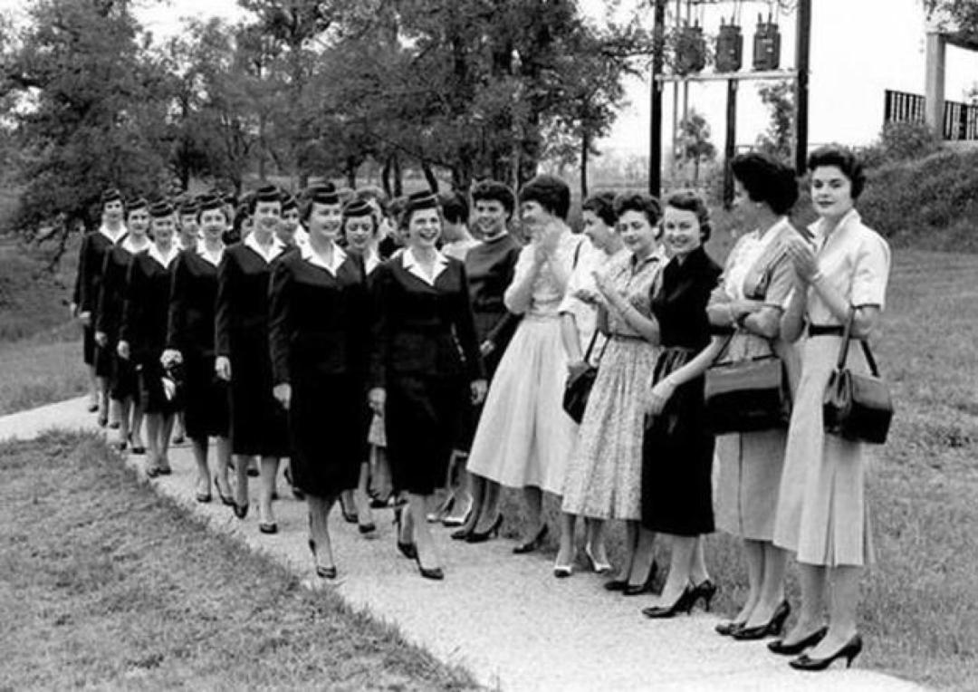 罕见的自然场景,罕见的一幕