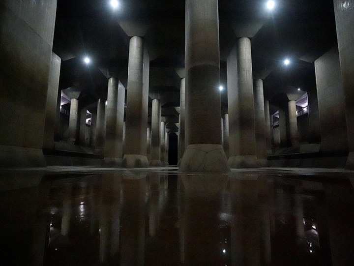 日本埼玉县一周游玩规划,日本埼玉好玩的地方