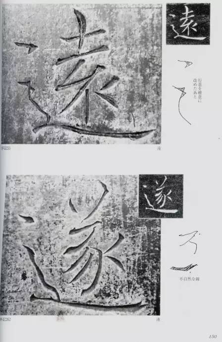 宸ョ瑪鐢绘潹鏅箟鐢诲唽,鏉滈箖鏉ㄦ櫘涔夊畬鏁寸増