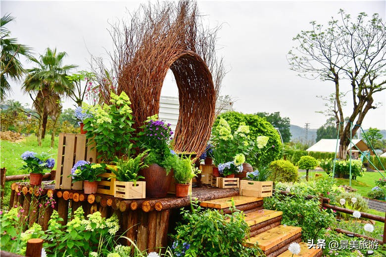 佛山旅游景点攻略,佛山森林公园游玩攻略