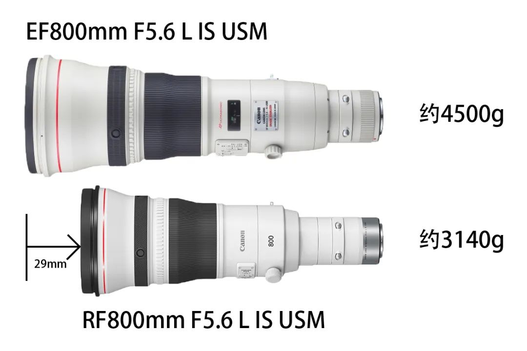 佳能rf800mmf5.6价格,佳能rf800mmf5.6定焦镜头能拍多远
